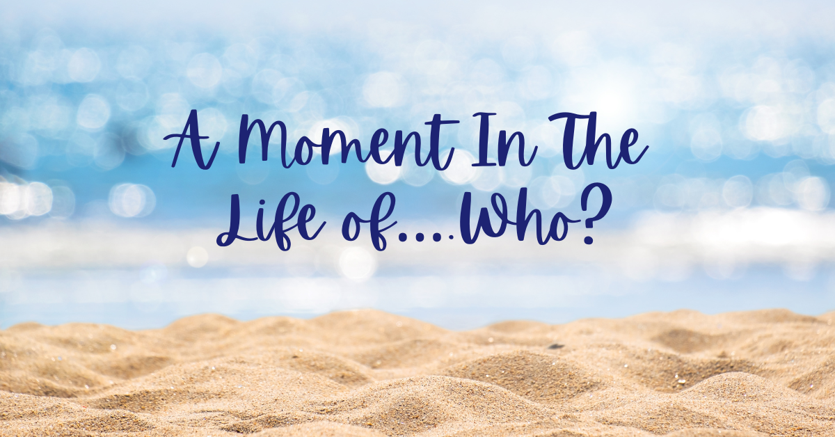 A Moment In The Life of….Who_- trauma recovery